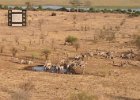 View of the watering hole just below our lodge.